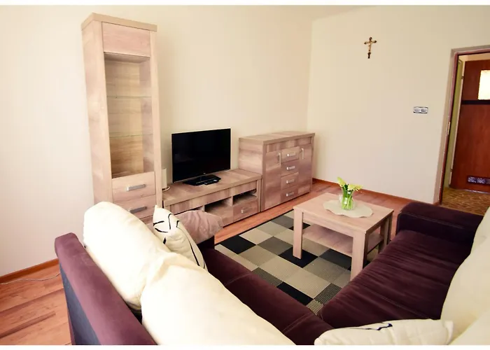 Color 24 Apartament V